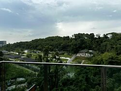 Normanton Park (D5), Apartment #574050641